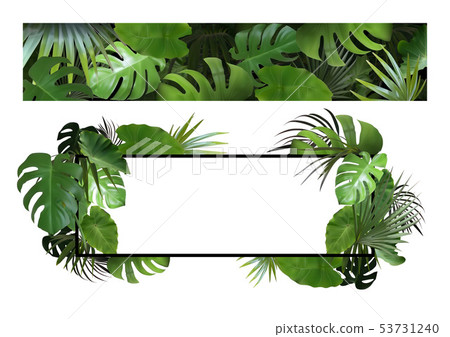Set Of Banners With Tropical Leaves Stock Illustration 53731240