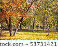 park landscape autumn road 53731421
