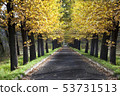 landscape autumn road park 53731513