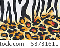 Zebra pattern animal wild cat leopard 53731611