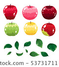 apple 53731711