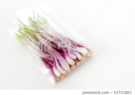 Rachyou（紅悅）在一個袋子裡 53731861