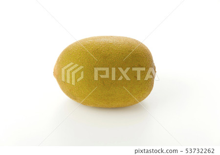 奇異果(Sungold) 奇異果(Sungold) 53732262