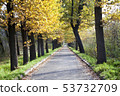 landscape autumn road park 53732709