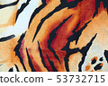 tiger pattern animal wild cat leopard 53732715
