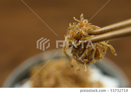 小女孩 小女孩 53732719