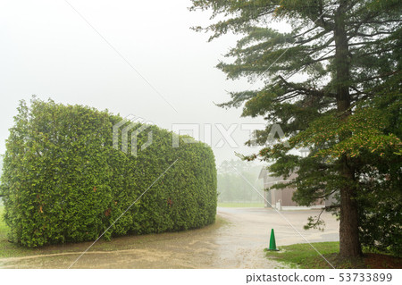 牧場景觀雨 牧場景觀雨 53733899