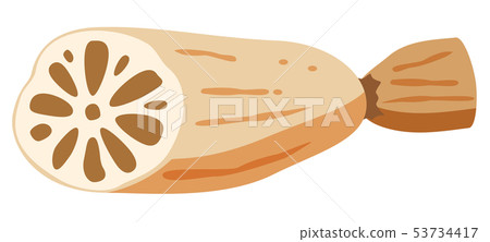 Lotus root Lotus root 53734417