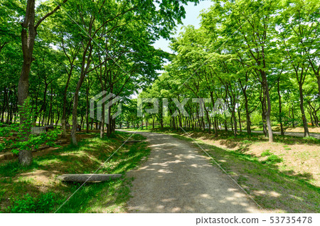 Arboretum 2 Arboretum 2 53735478