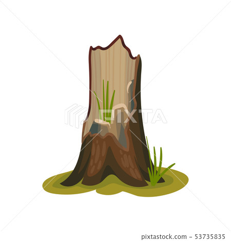 Empty old stump. Vector illustration on white background. Empty old stump. Vector illustration on white background. 53735835