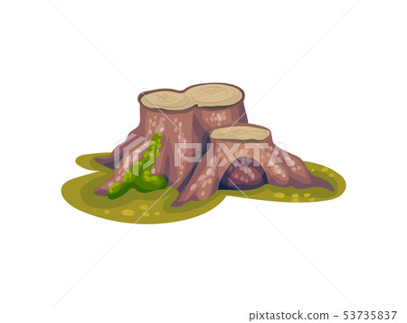 Two old stumps on a green meadow. Vector illustration on white background. Two old stumps on a green meadow. Vector illustration on white background. 53735837