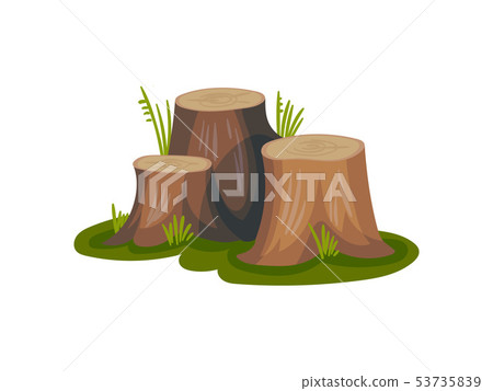 Three old stumps. Vector illustration on white background. 53735839