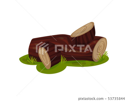 Part of the trunk lies on the grass. Vector illustration on white background. Part of the trunk lies on the grass. Vector illustration on white background. 53735844