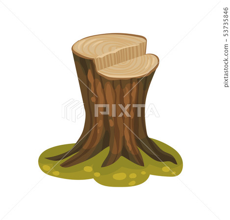 High stump with a fresh cut. Vector illustration on white background. High stump with a fresh cut. Vector illustration on white background. 53735846