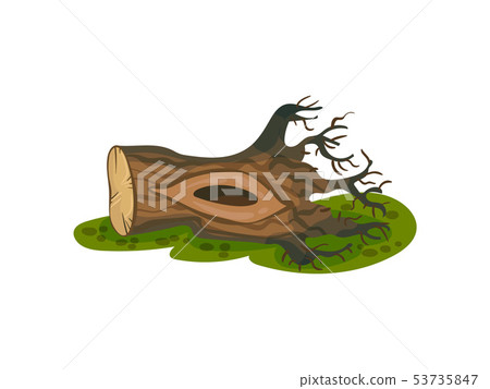 Snag with roots lies on the grass. Vector illustration on white background. 53735847