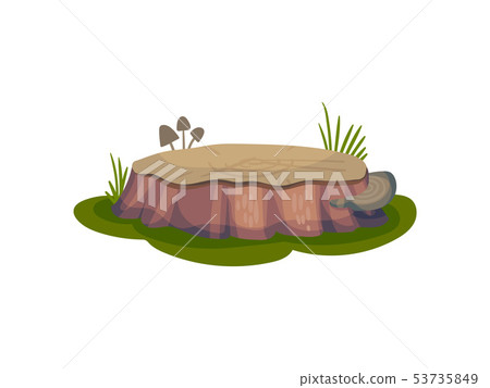 Low and wide stump. Vector illustration on white background. Low and wide stump. Vector illustration on white background. 53735849