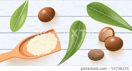 Shea nuts, leaves on white wooden shabby desk Shea nuts, leaves on white wooden shabby desk 53736235