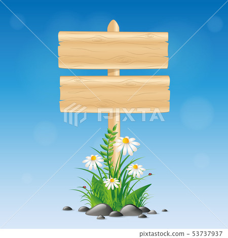 blank wooden sign board with daisy flower and grass on blue background 53737937