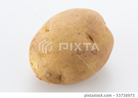 Potatoes 53738973