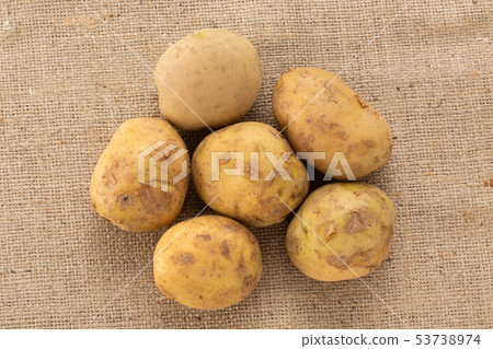 Potatoes 53738974