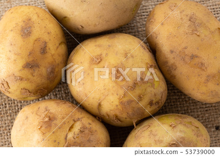 Potatoes 53739000