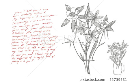 Collection of hand drawn flowers and herbs. Botanical plant illustration. Card template on romantic Collection of hand drawn flowers and herbs. Botanical plant illustration. Card template on romantic 53739581