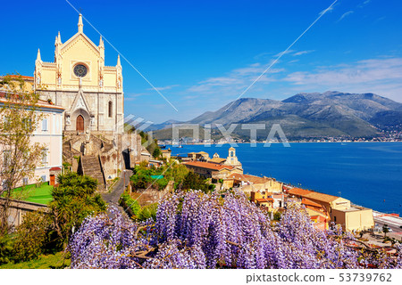 Blooming wisteria flowers in Gaeta old town, Italy 53739762