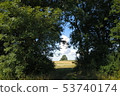 Old tree soil and plant gate photo 53740174