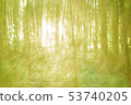 Fantasy wood from summer season 53740205