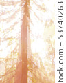 Fantasy tree abstract bright energy photo backgrou 53740263