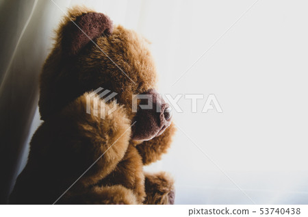 lonely teddy bear looking tru the window 53740438