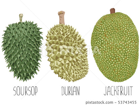 fruit on white background 53743455
