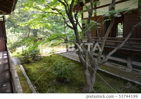 日本庭園 日本庭園 53744199