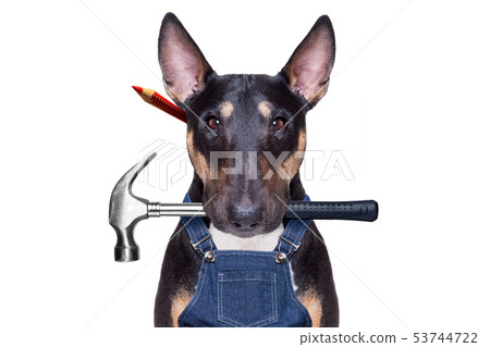 handyman dog with tool in mouth handyman dog with tool in mouth 53744722