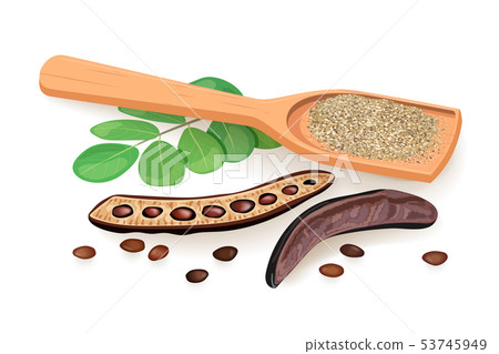 Ripe Carob husk, branch with sweet pods, leaves Ripe Carob husk, branch with sweet pods, leaves 53745949