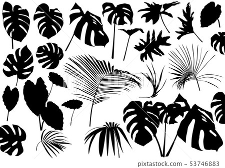 Silhouetted Tropical Leaves Set Silhouetted Tropical Leaves Set 53746883