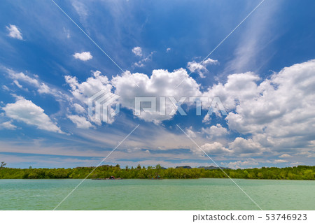 Beautiful sky, clear sea and mangrove forests Beautiful sky, clear sea and mangrove forests 53746923