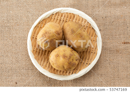 土豆 53747169