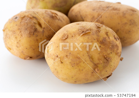 Potatoes 53747194