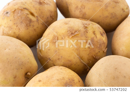 Potatoes 53747202