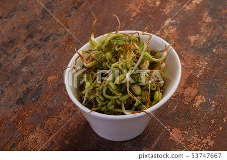 Mash bean sprout Mash bean sprout 53747667