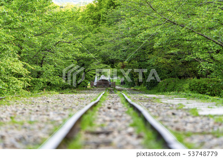 [Kyoto] Keage Incline in early summer 53748779