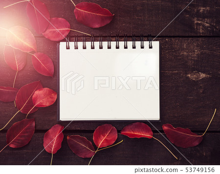 Beautiful, red leaves, notebook and wooden planks 53749156