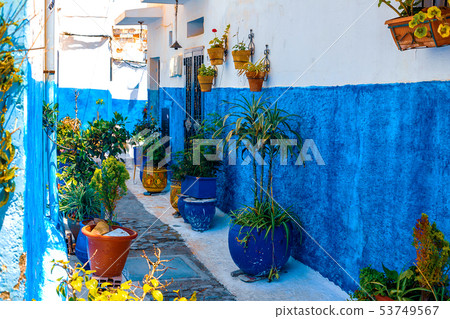 Blue and White Street in the Kasbah des Oudaias in 53749567
