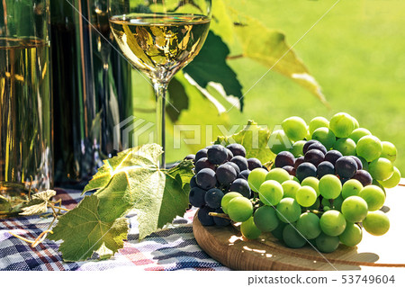 Wine and fresh grapes in a rustic vineyard 53749604