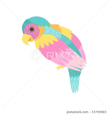 Tropical Parrot Bird with Colored Plumage Vector Illustration Tropical Parrot Bird with Colored Plumage Vector Illustration 53749983