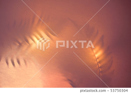 Abstract background of shadows palm leaves on pastel backdrop in backlight. Abstract background of shadows palm leaves on pastel backdrop in backlight. 53750304