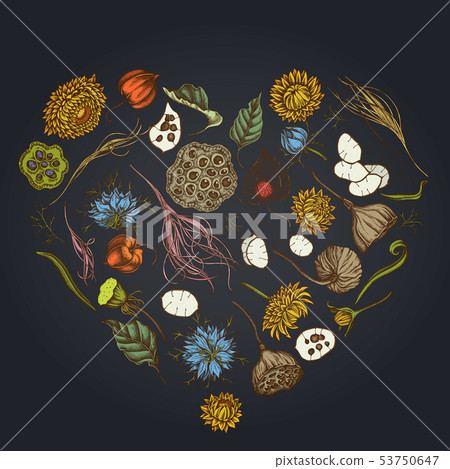Heart floral design on dark background with black caraway, feather grass, helichrysum, lotus 53750647