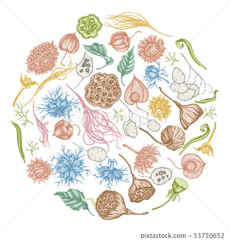Round floral design with pastel black caraway, feather grass, helichrysum, lotus, lunaria, physalis 53750652