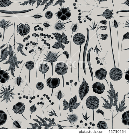 Seamless pattern with hand drawn stylized astilbe, craspedia, blue eryngo, lagurus, cotton 53750664